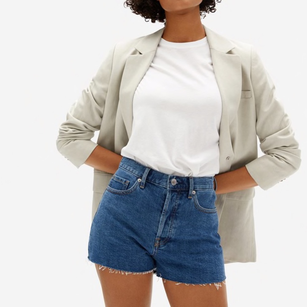 Everlane Cheeky Denim Short